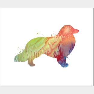 Longhaired dachshund Posters and Art